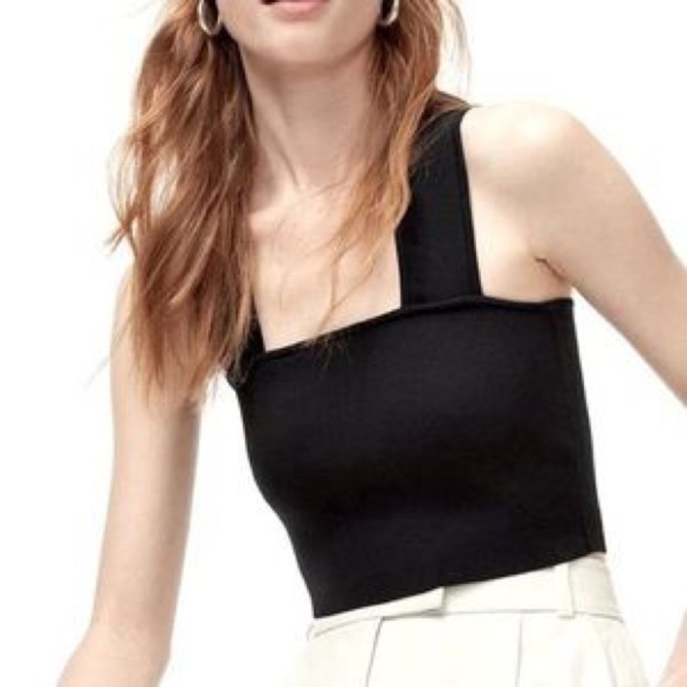 Babaton Tops Aritzia Babaton Sculpt Knit